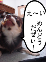 BlogPaint