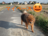 BlogPaint