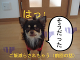 BlogPaint