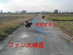 BlogPaint
