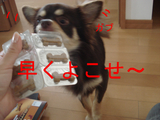 BlogPaint