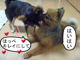 BlogPaint