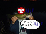 BlogPaint