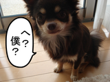 BlogPaint