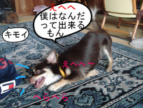 BlogPaint