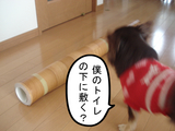 BlogPaint