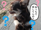 BlogPaint