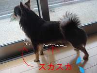 BlogPaint