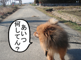 BlogPaint