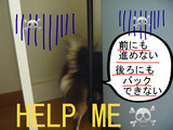 BlogPaint