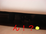 BlogPaint
