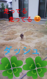 BlogPaint