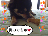 BlogPaint
