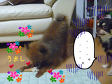 BlogPaint