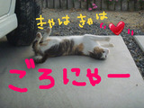 BlogPaint