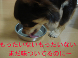 BlogPaint