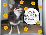 BlogPaint