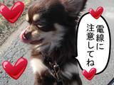 BlogPaint