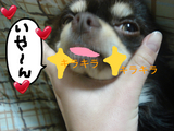 BlogPaint