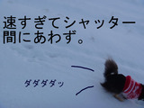 BlogPaint