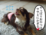 BlogPaint