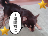 BlogPaint