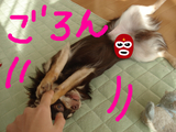 BlogPaint