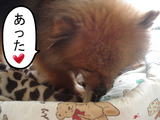BlogPaint