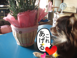 BlogPaint