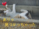 BlogPaint