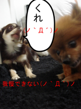 BlogPaint