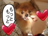 BlogPaint