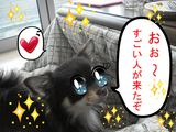 BlogPaint