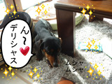 BlogPaint