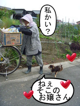 BlogPaint