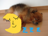 BlogPaint