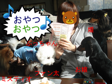 BlogPaint