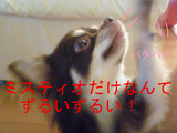 BlogPaint