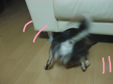 BlogPaint