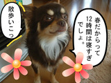 BlogPaint