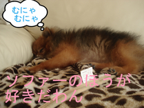 BlogPaint