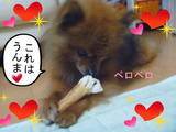 BlogPaint