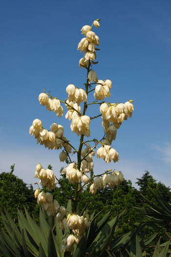 P6070903