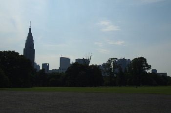 P6070908