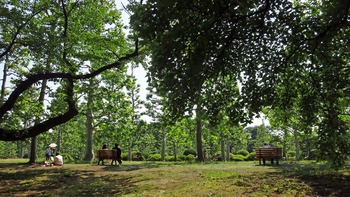 gyoen2012のコピー