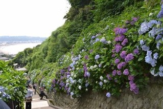 DSC_0405 (400x267)