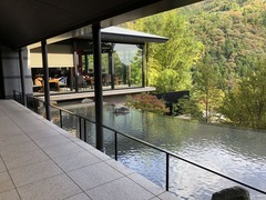 IMG_0299