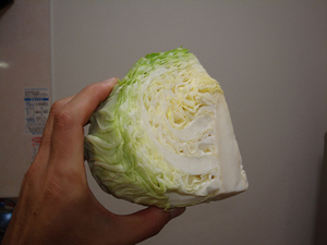 キャベツ