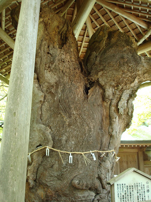 DSC02094