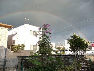 a-P1050151